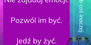Nie zajadaj emocji. Pozwól im być. Jedź by żyć.